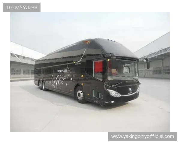 亚星YBL6148H2QP1客车价格行情2024年最新报价及市场分析