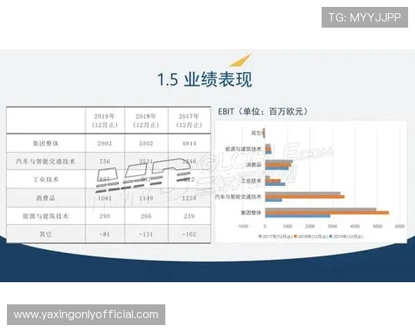 分析亚星控股集团在行业中的合作伙伴关系与战略联盟布局